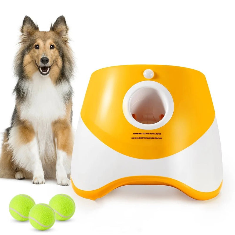 Automatic Catapult Tennis Ball Thrower for Dog Training - The Stuff Box