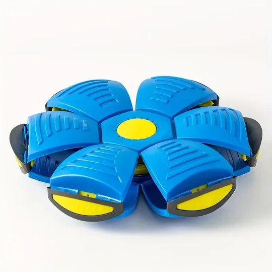Flying Saucer for Outdoor Training and Play - The Stuff Box